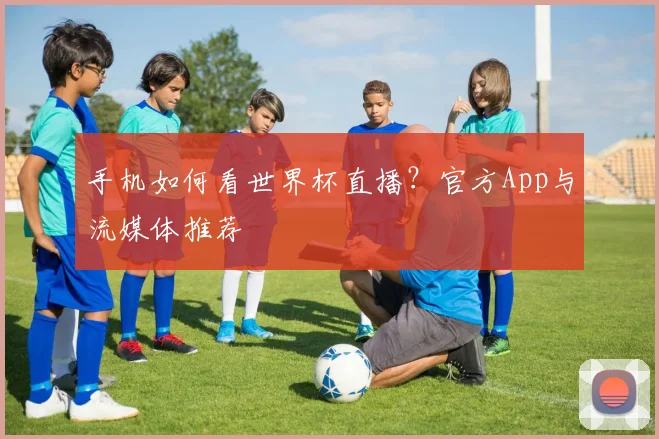 手机如何看世界杯直播？官方App与流媒体推荐