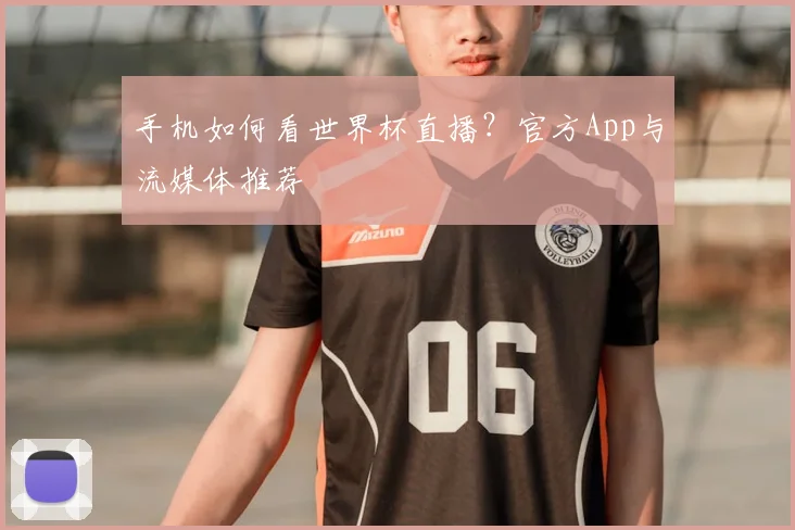 手机如何看世界杯直播?官方App与流媒体推荐